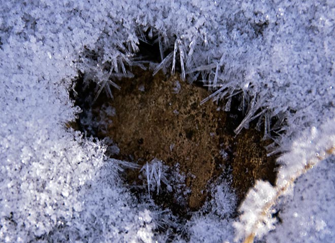  hoar frost needles